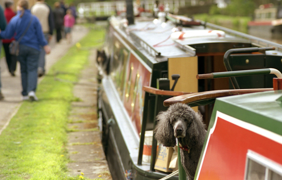 Canal traffic.